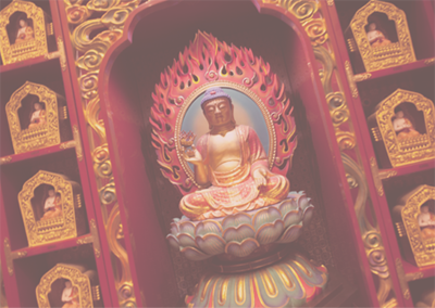 专业软件的网站ddos